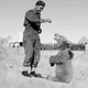Illustration for article titled The Incredible Story of Wojtek, the Soldier Bear